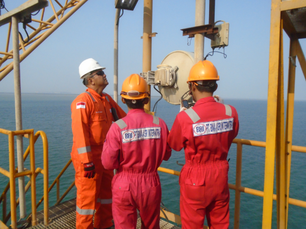 Network & Video Surveillance System